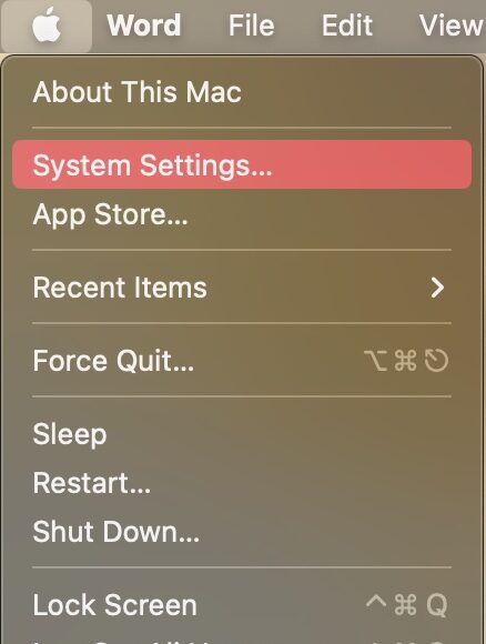 How To Add Chinese Keyboard To MacBook | Apple Solved