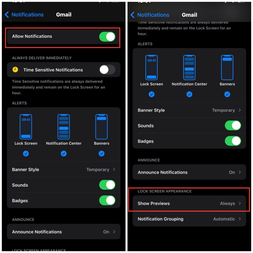 Can I Get Gmail On My Apple Watch?