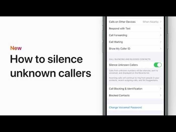 Enable Silence Unknown Callers Feature