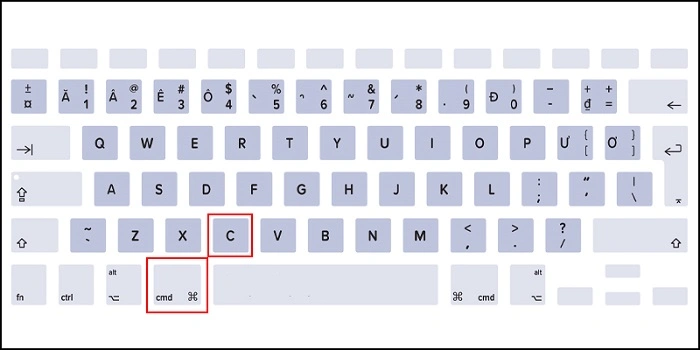 Exploring Additional Copy and Paste Features