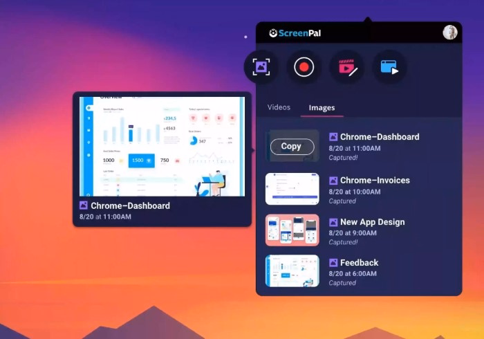 Practical Applications of Screenshots