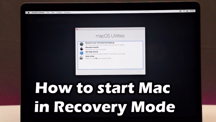 Restart Your MacBook Air in Recovery Mode