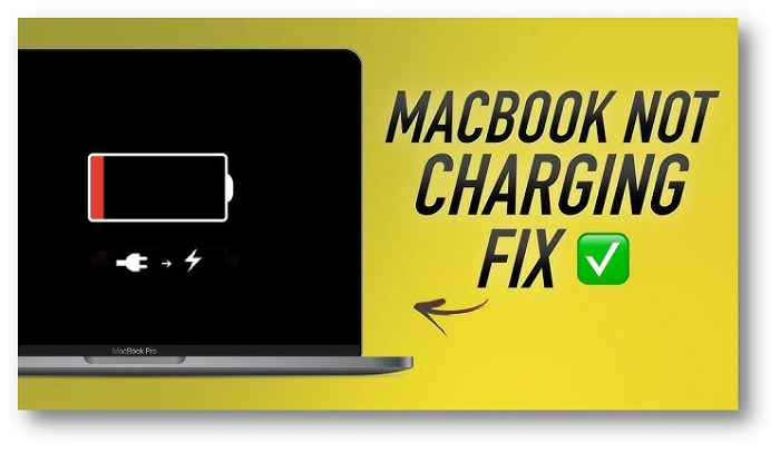 Understanding the Problem